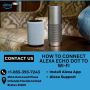  How to connect Alexa Echo Dot to Wi-Fi |+1-855-393-7243 