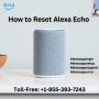 How to Reset Alexa Echo|+1-855-393-7243| Alexa Support