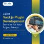 Expert Nuxt.js Plugin Development Services for Your Project 