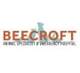 24 Hour Vet Singapore and Pet Hospital | Beecroft 