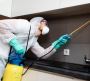 Residential Pest Removal Perth