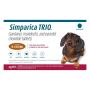 Buy Simparica TRIO for Dogs 11.1-22 lbs at Best Price