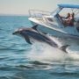 Contact Us For The Seaquest Dolphin Cruise in Costa Rica