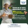 Cheffield Institute Angamaly: Leading the Way in Bachelor of