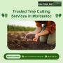 Sandringham's Trusted Tree Cutting Services for Healthier Ga
