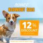 Summer Blowout Sale - Flat 12% Off On all Pet Supplies
