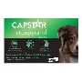 Buy Capstar for Large Dogs 25.1-125LBS [Green] Online