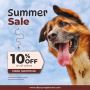 Summer Sale at DiscountPetMart! Flat 10% Off on Pet Supplies