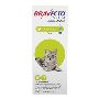 Buy Bravecto SpotOn for Cats Topical Flea and Tick Treatment