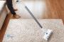 Step by Step Guide on Cleaning Carpet After Water Damage