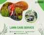 Commercial lawn Care Packages-Harrisbrotherllc