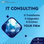  IT consulting company