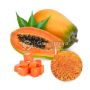 Wholesale Organic Papaya Powder