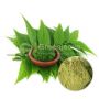 Wholesale Organic Neem Leaf Powder