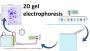 2D Electrophoresis: Empower Your Research Now!