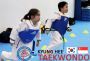 Learning taekwondo is a good way to stay fit and healthy
