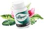 Introducing Exipure The next generation in health offers.
