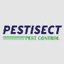 Pest Control Services in Brampton, Toronto and Mississauga