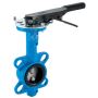 T-mex Express: Leading butterfly valve suppliers