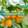 Paclobutrazol 40% SC at Peptech Bioscience Ltd | Manufacture