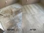 Top-notch Carpet Cleaning Services in Victoria, BC