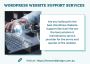 Best Wordpress Website Support Services Provider in 2024