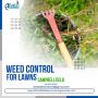 We will facilitate the weed control for lawns in Campbellfie