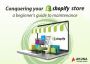 A beginners guide to maintenane shopify store