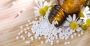 Most Trusted Homoeopathy Consultant in Sydney