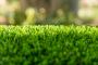 How to Lay Artificial Turf Grass - Ace Landscapes