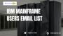 What role does the IBM Mainframe play business functions?