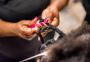 Alecia’s African Hair Braiding | Hair Salon in Tampa FL