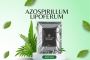 Shop Azospirillum Lipoferum Today - Enhance Plant Growth, Sa