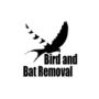 Effective Bird Removal in North Sacramento | Bird and Bat Re