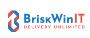Maximizing Efficiency with BriskWin's Offshore IT Staffing S