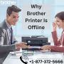 Why Brother Printer Is Offline | +1-877-372-5666 