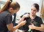 Find The Perfect Veterinary Hospital Near Me Pleasant Valley