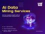 Advanced AI Data Mining Services:Unlock Insights, Accelerate