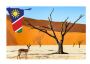 Travel to Namibia Guide