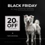 Black Friday in July Sale 2024 is here | PetCareClub