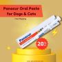Shop Panacur Oral Worming Paste for Dog & Cat | PetCareClub