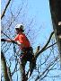 Want The Best Arborist in East Victoria Park