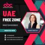 Consult with a UAE Free Zone Business Strategist for Success