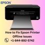 How to Fix Epson Printer Offline Issues | +1-844-892-5742 | 