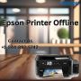 Epson Printer Offline | +1-844-892-5742 