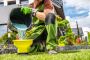 Lawn Fertilizing Services in Calgary - Evergreen Ltd