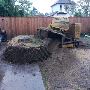Efficient and Professional Stump Removal Services