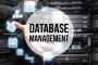 Best University Database Management Software