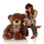Buy 55 Inch Teddy Bear - Giant Teddy