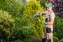 The Ultimate Guide to Tree Care: Expert Tips from Green Drop